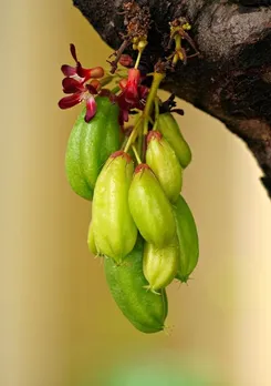 1edcdd2f-21d1-4922-862c-d0a2c22792f5