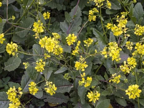 c074e5fe-f21e-4f8b-9a9b-c48801246b19