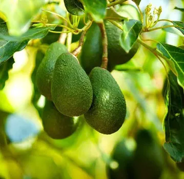 300068ae-4834-456d-a262-207b49a62793