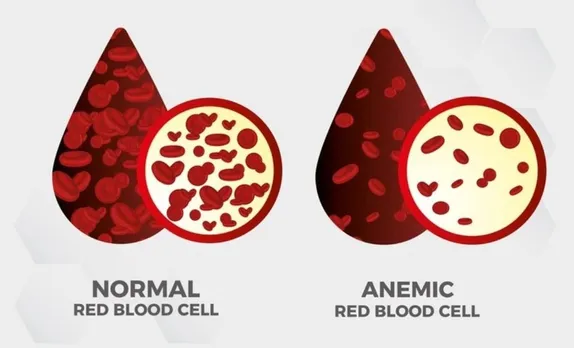 7d23fc60-9dd3-469a-be11-9917e34cf1cf (1)