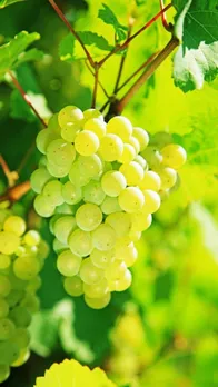 81366004-48a4-4241-a1e6-10cb0f7a15ea