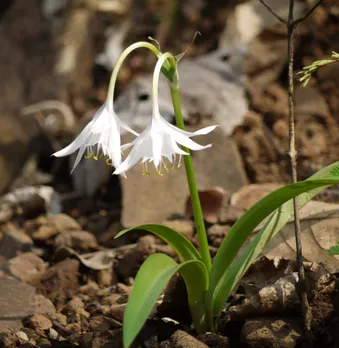 a91345c3-dbb0-4535-ad21-61ab7a455bd6