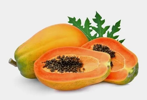 b3c80a88-be64-424d-bb2d-45c112707e4a