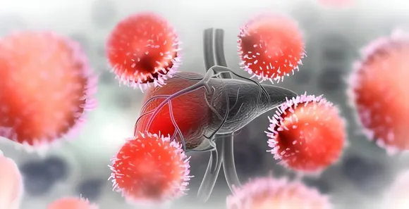 de5fa7f1-1e10-4518-8ea7-bf4c235c26df (1)