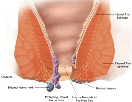 e95eb7e4-eb55-4712-8b6d-ae731eefb103