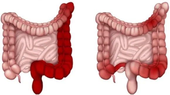 909d9405-182f-4b55-b59c-c9da735b02b3