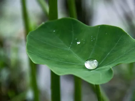 9888b661-f02f-4826-b859-5a6f68be1bf8 (1)