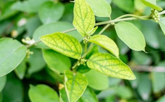 9db5617b-afc9-49af-98d0-0a1bf5ec5a57 (1)