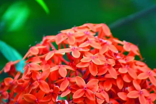 3e175c6d-7d1d-4cab-baf6-aaaef520a999