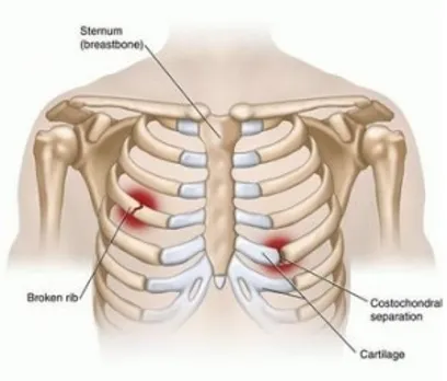 9784312f-2f88-4d9e-8075-dbcb2ba12069