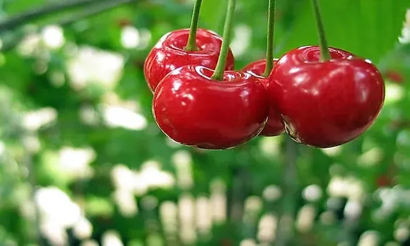 fecff50b-312f-47d7-b302-db2b9e2d57bc