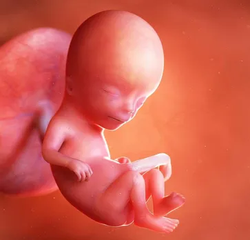 2eb64da3-f938-4efc-8c51-fa6049e86d20