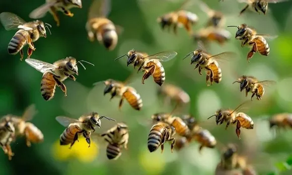 9317be17-77e3-414f-ba8d-a339a5620737