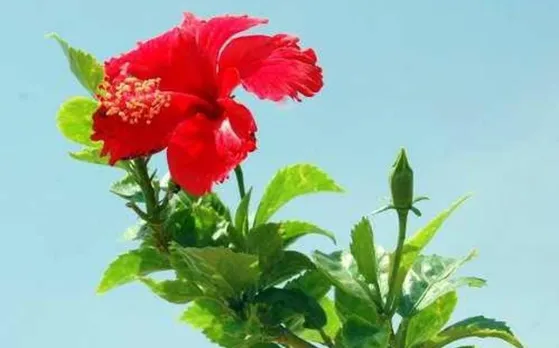 bd9765c5-17fb-4007-8bf6-995cfc5684d8