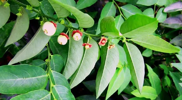 cca1e3cd-b13c-4a89-ad0f-922d15be829d