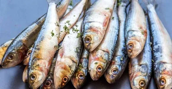 7daf7c11-1c69-42d6-98e8-77630b696b74