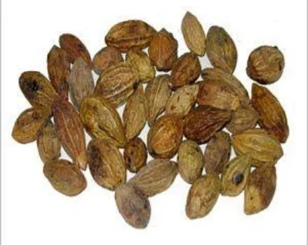 ab090726-89ce-4b93-9c4f-424a6a13be03