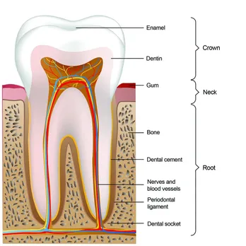 9286c473-e757-4978-a51d-3d67a4ab72d7