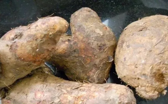 0f177fb5-4245-42b5-bf00-d9b883291ac7