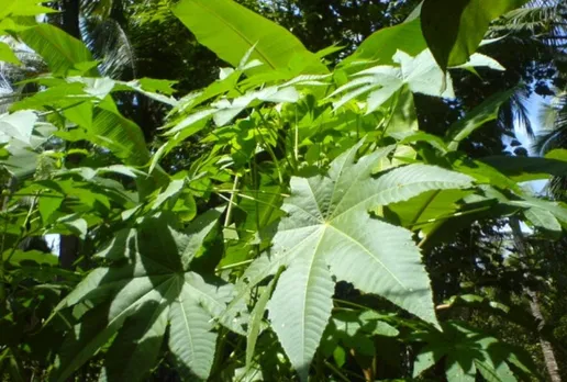 23576888-ba54-4790-b16f-b1a5dbecb409