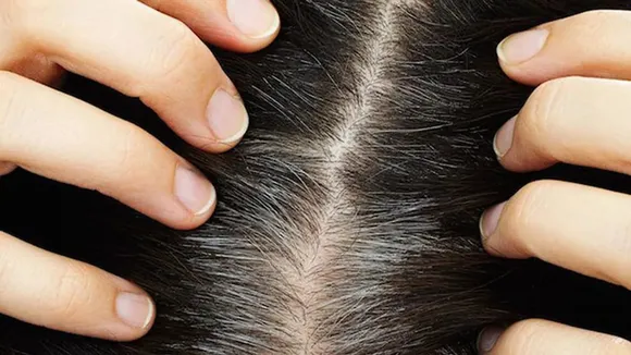 d907e03c-fdcd-49aa-b3c6-1a4a56e7d4d5