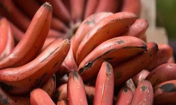 df370d68-b1fc-40f6-9096-5a5dfcc08b0e