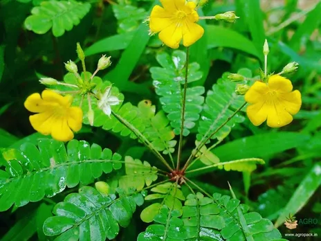 f99a7a18-109a-4e9e-9c03-0c244f76f1d6