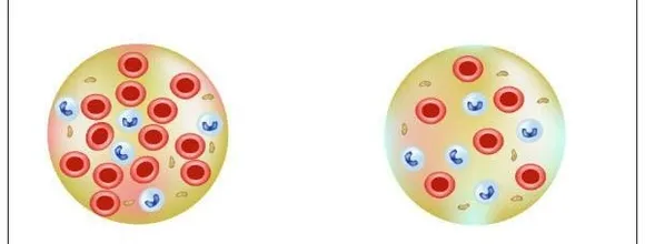 13e5c7eb-ff66-4e22-88cd-4c6a48ef7477