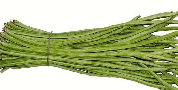 596f4073-a69f-4837-9151-2564866fa574