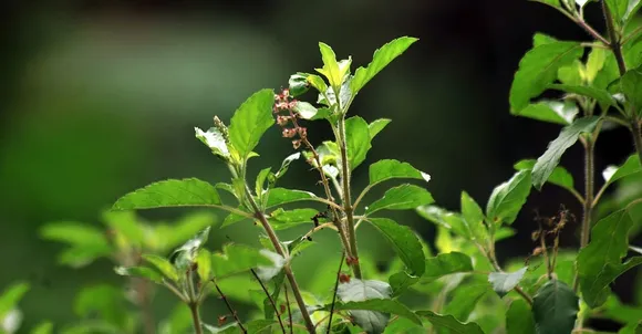 c2646e1a-4352-4ad2-9c11-9a56891c5404