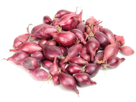 73921f7a-9a3d-4eab-a89a-1422451f1e34