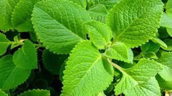 777c2d14-7b74-4628-b467-05e1b76c60cc