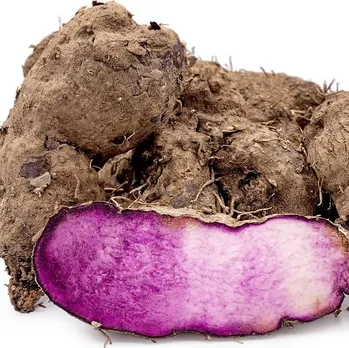 16c777bd-c62c-4f84-9d97-5dcf5307ae1c