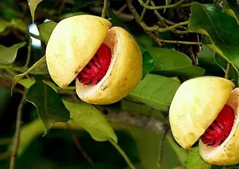 22e0d84b-00a2-44e1-9f9f-34f31031ea94