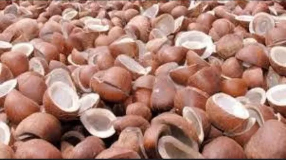 5c07ba48-c7a6-4cd0-a0b3-1c8a73978539