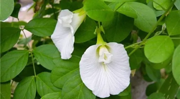 85be1c41-b300-4e2e-97d3-13b58e4c8833