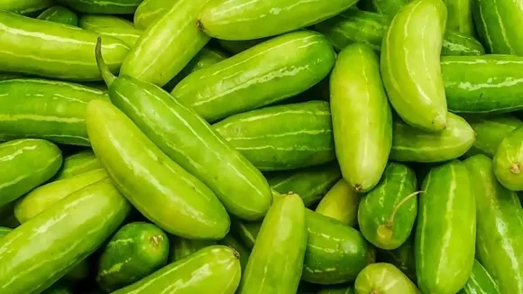 8b3bb00d-34a2-484a-a04c-44737a28ca10