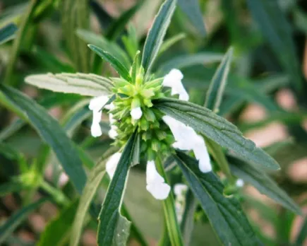 9ce7737a-2664-40bd-830b-db64d2dc6f40