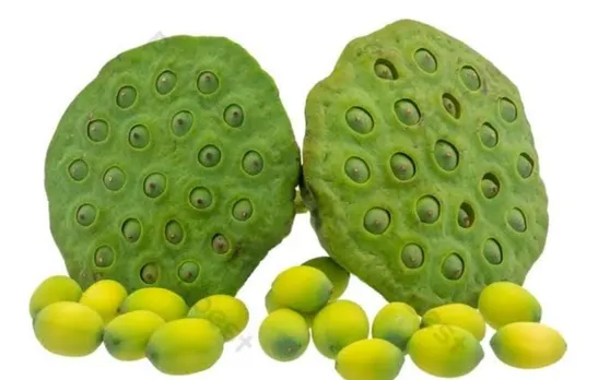 0dbffdfa-a8bf-41bf-a236-fa07895dd4f5