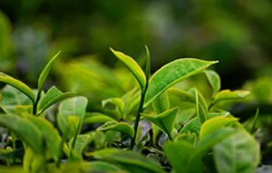 32f59703-a849-4700-9402-552d8be61ec2