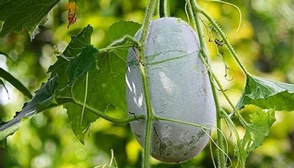 49ee45b0-0cdb-44f3-b756-0f7f034ba64b (1)