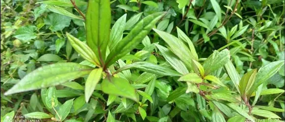 593421a8-0a28-48a8-b07b-b498f7649fb7