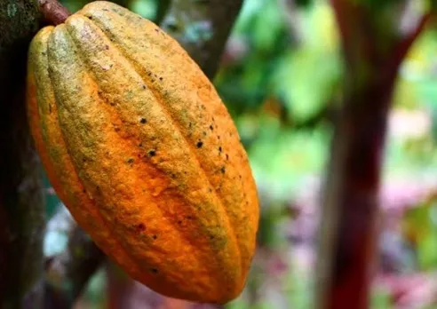 748b45d9-fc87-48a4-b3d2-022d191fbb29