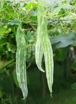 b8ce4c81-431b-4827-9bb3-8024dcb38a8f