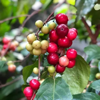 d2290591-ccbd-4303-a631-2827e9837321