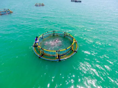 Cage fish farming- Representative Image