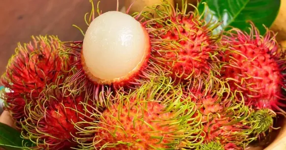 rambutan-2-jpg