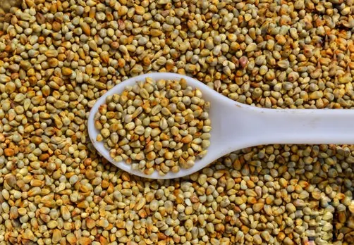 6a991ba1-4258-47b4-8e91-5451c15d8d4d