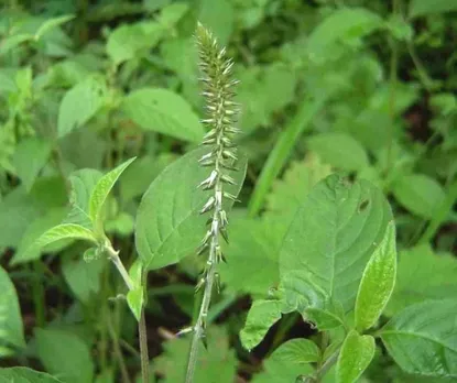 aa6bf6e3-6d86-4437-9674-8a2ace6adc53