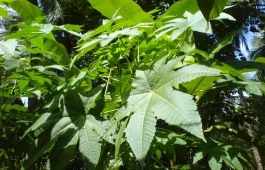 e823af1b-f4f9-470d-8430-9de85c4727d5